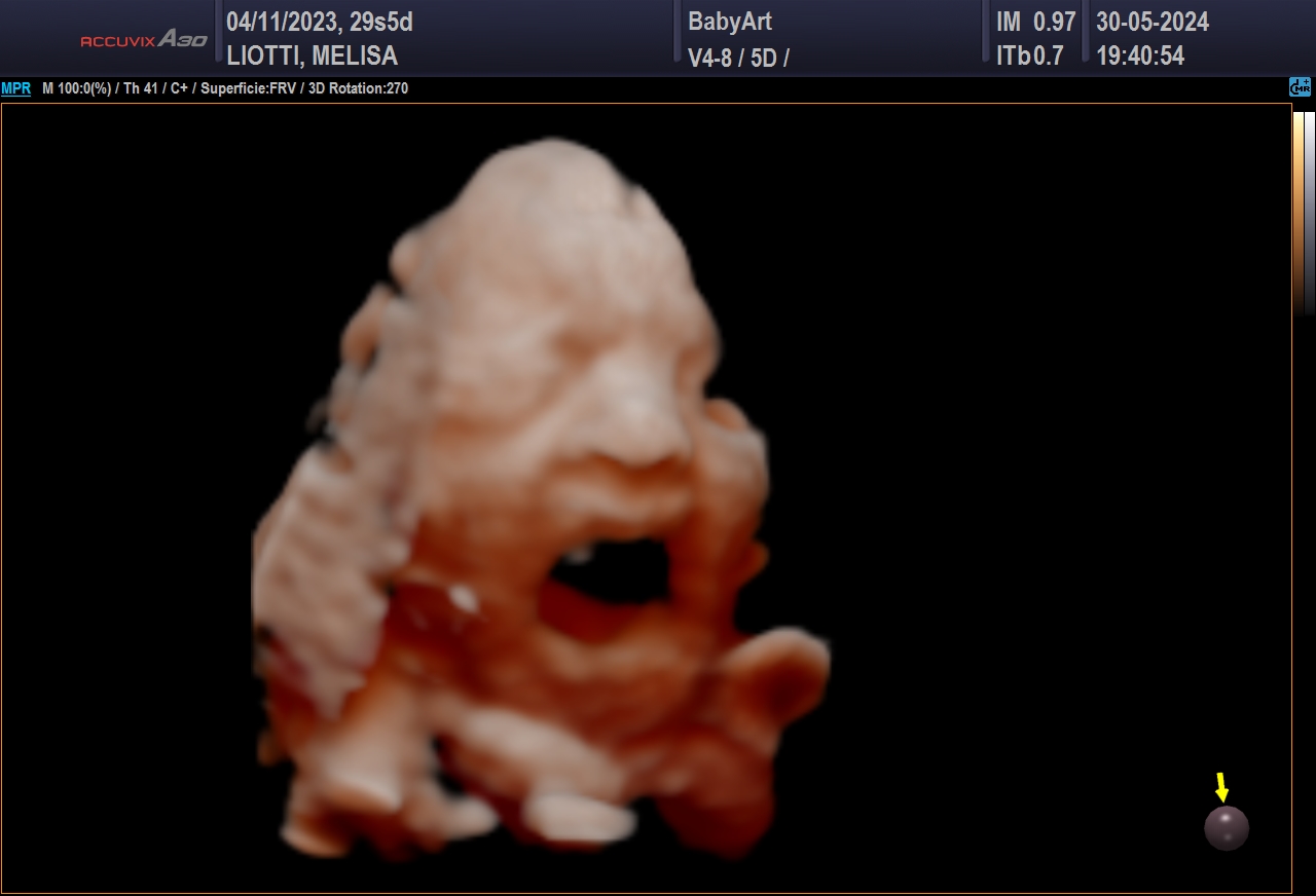 JULIA DE MELISA LIOTTI_0018.JPG